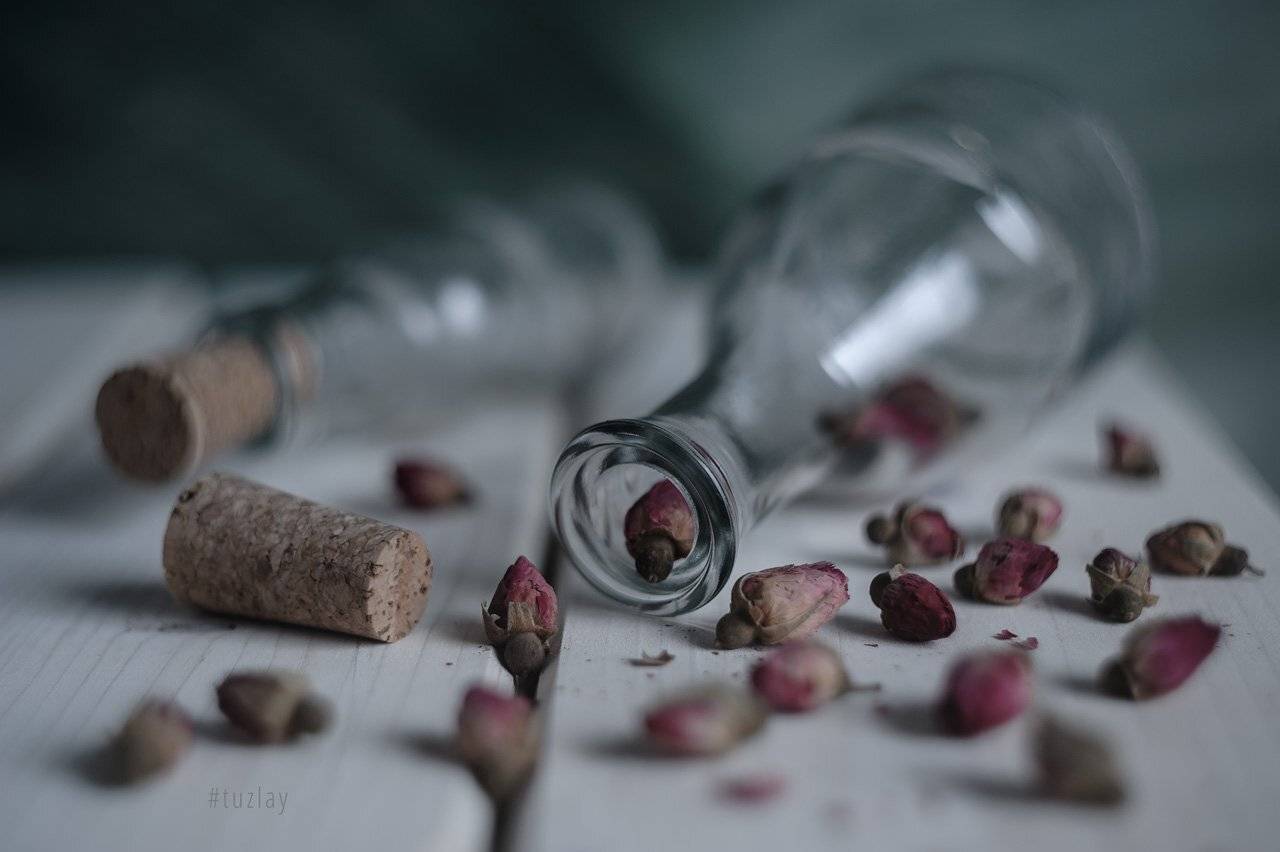 сухие розы, Владимир Тузлай