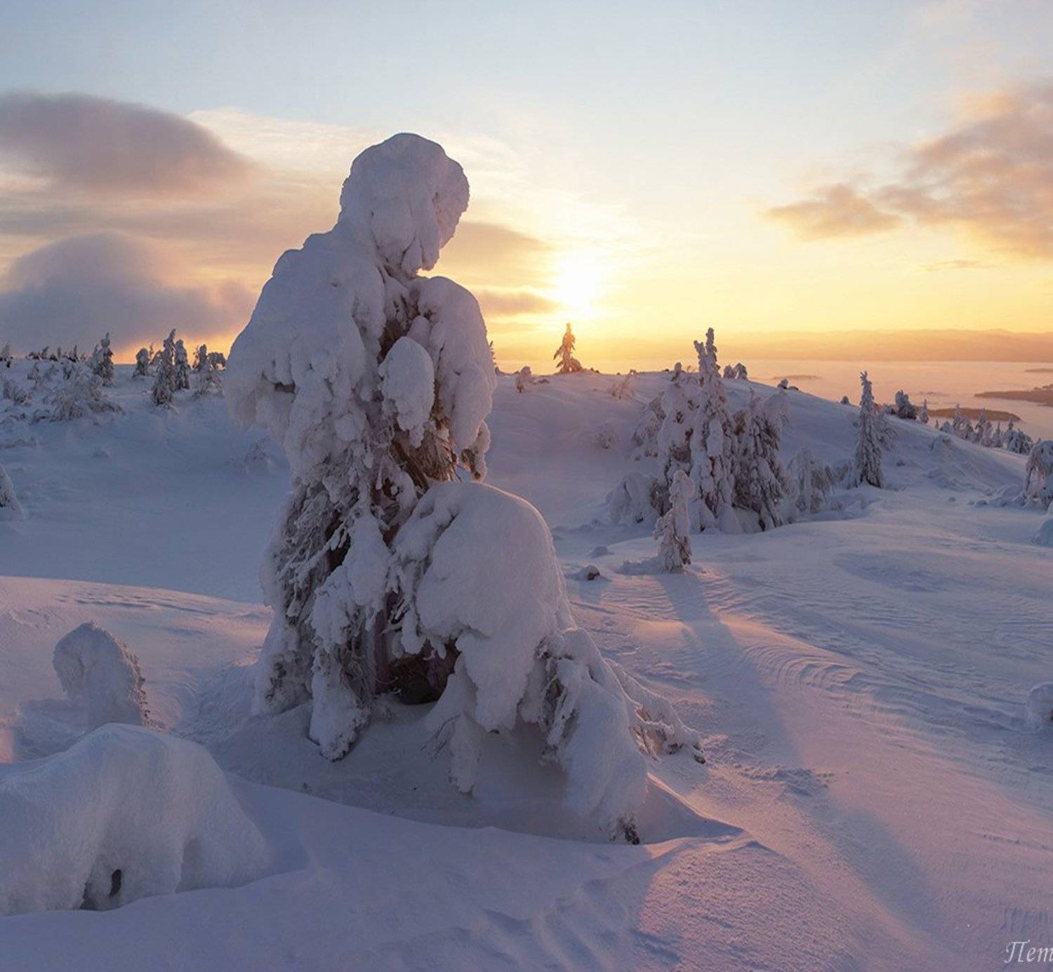 , Петр Косых