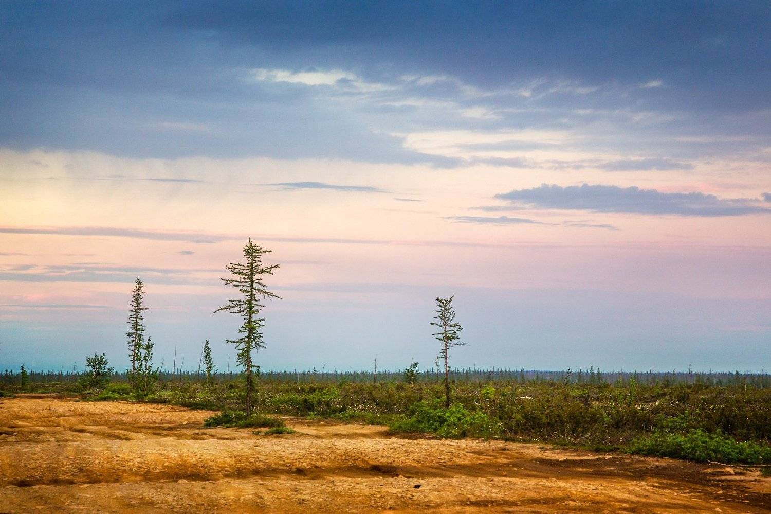 , Евгений Кузьмин