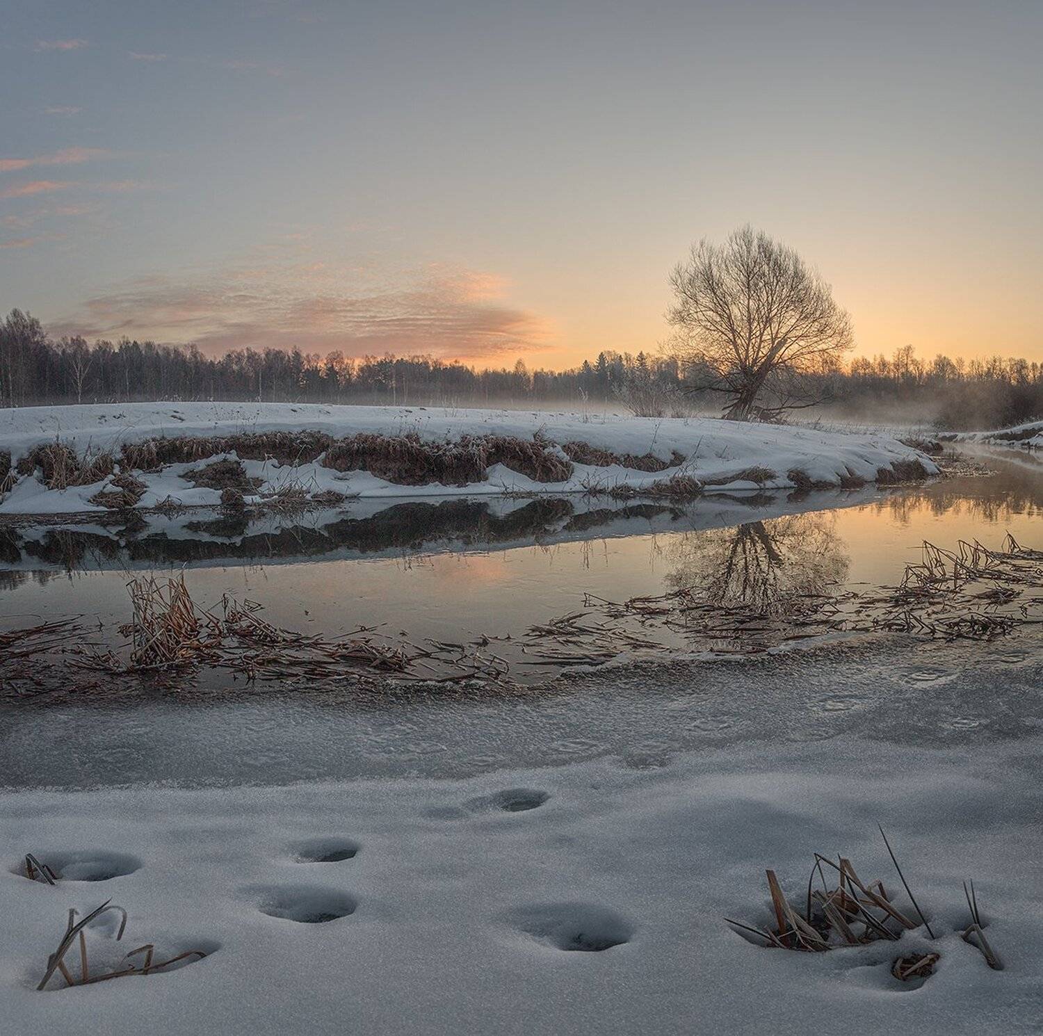 , Николай Андреев
