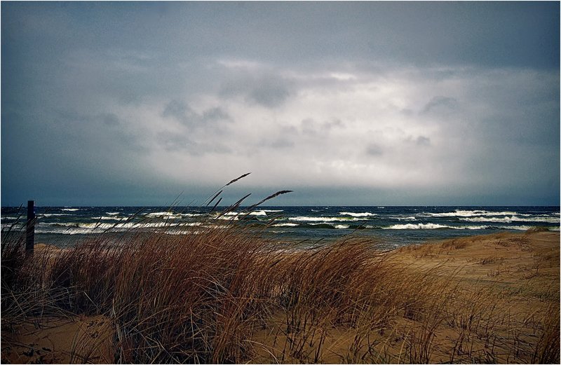 Балтика. фото превью