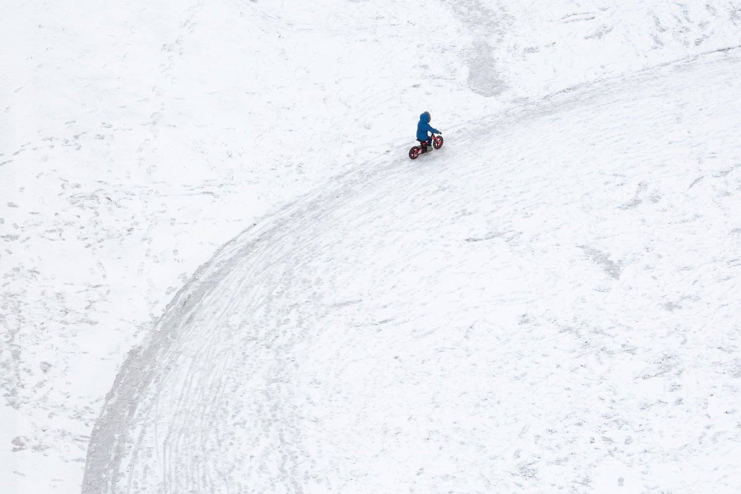 , Алексей Федотов