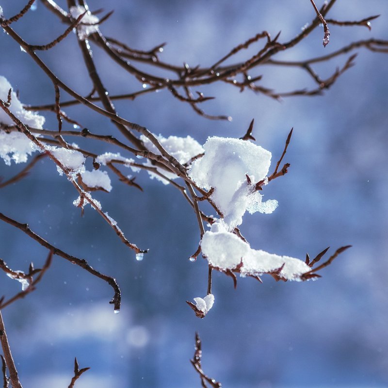 canon 55-250, beautiful, красивый, moment, момент, nature, природа, winter, зима, зимний, heart, сердечко, branches, ветки, snowy, снежно, Маленькое зимнее волшебство ;) фото превью