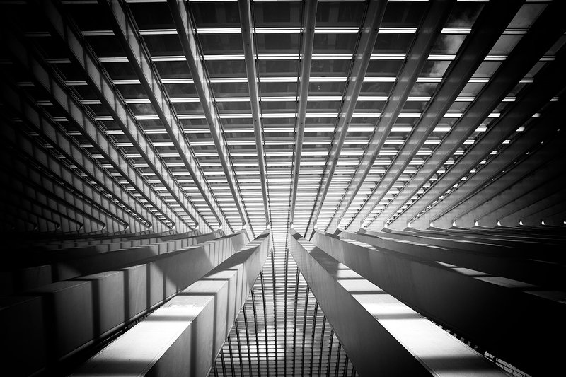 La gare des Guillemins 2 фото превью