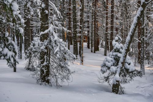 Блеснуло солнце последним лучом