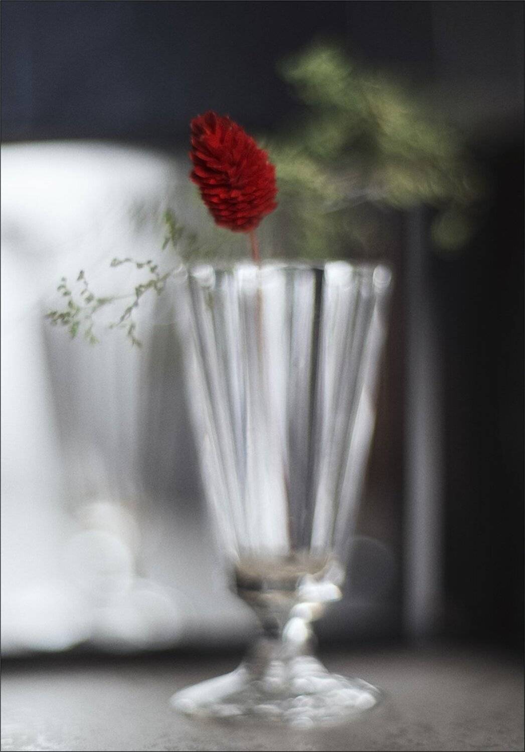 , Ариадна Белкина