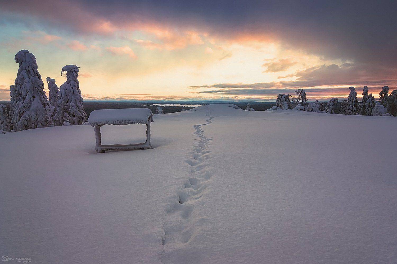 , Антон Кошетаров