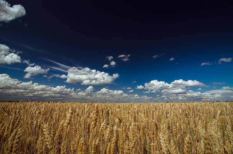 Поле фото превью