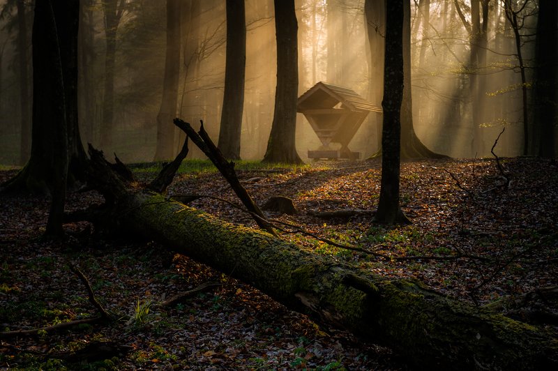 I go around Warmia фото превью