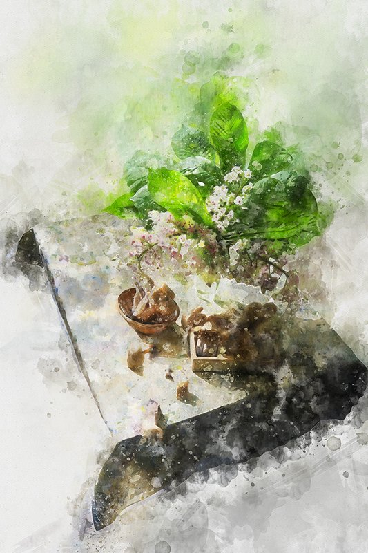 натюрморт арт фото красиво акварель АКВАРЕЛЬ 13 фото превью