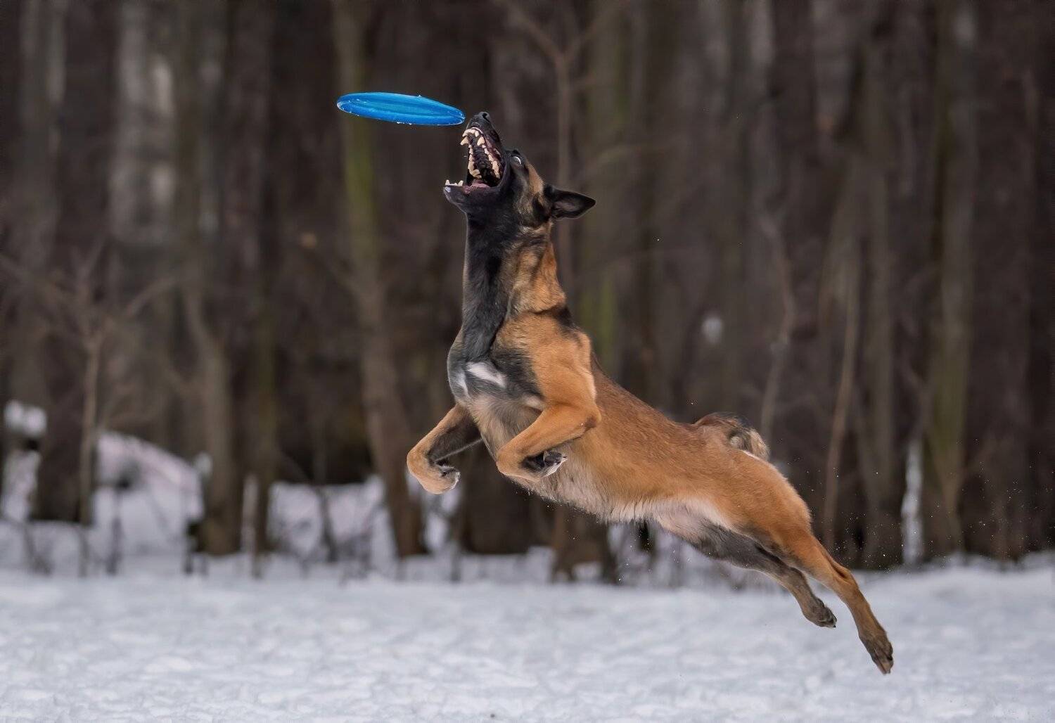 , Константин Дэм