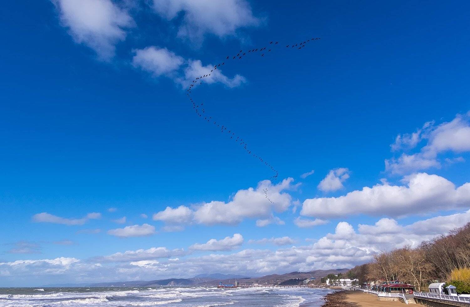 природа, пейзаж, море, небо, облака, горизонт, птицы, косяк, Александр Земляной