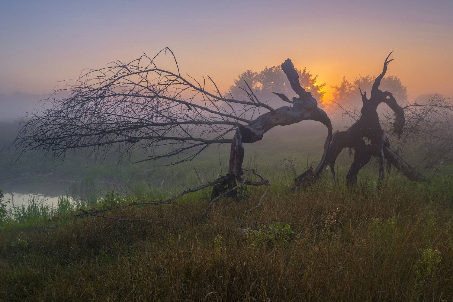 рассвет,пейзаж,туман,колорит,композиция,искусство,сергей корнев,украина,гадяч,фотография,фотограф,красота,пейзаж,природа, Сергей Корнев