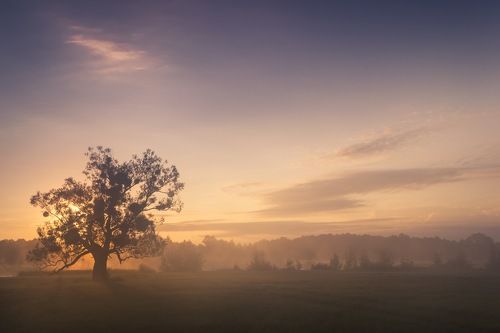 Встречающий рассвет