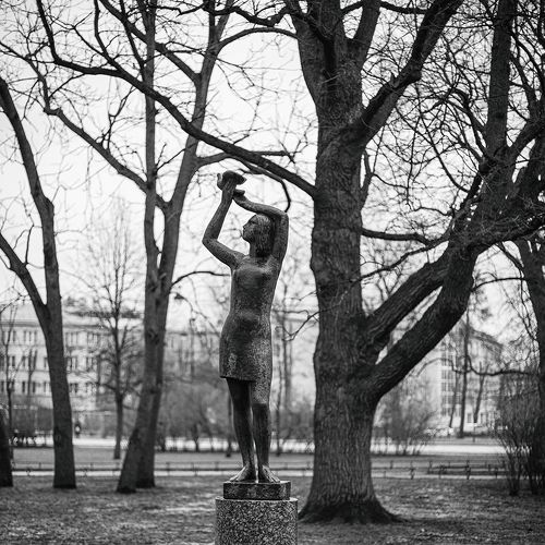 Девушка и голубь