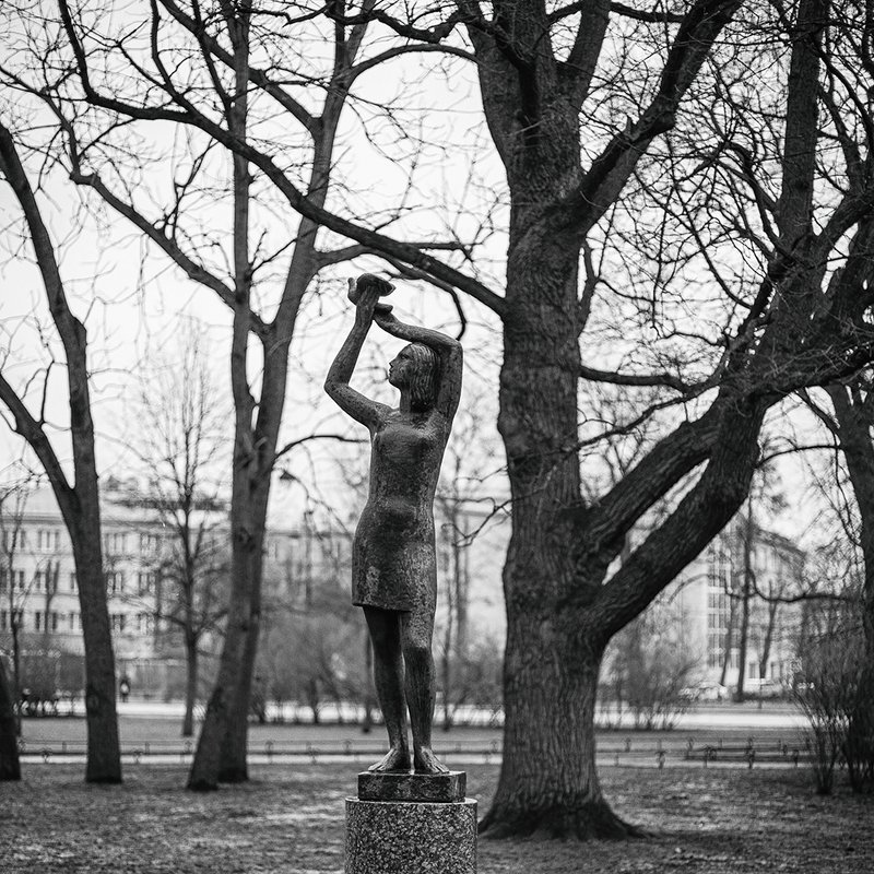 девушка деревья питер голубь черно-белое  Девушка и голубь фото превью