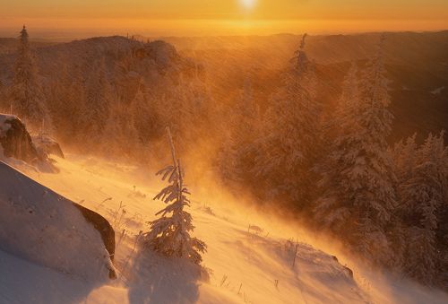 Crazy Blizzard