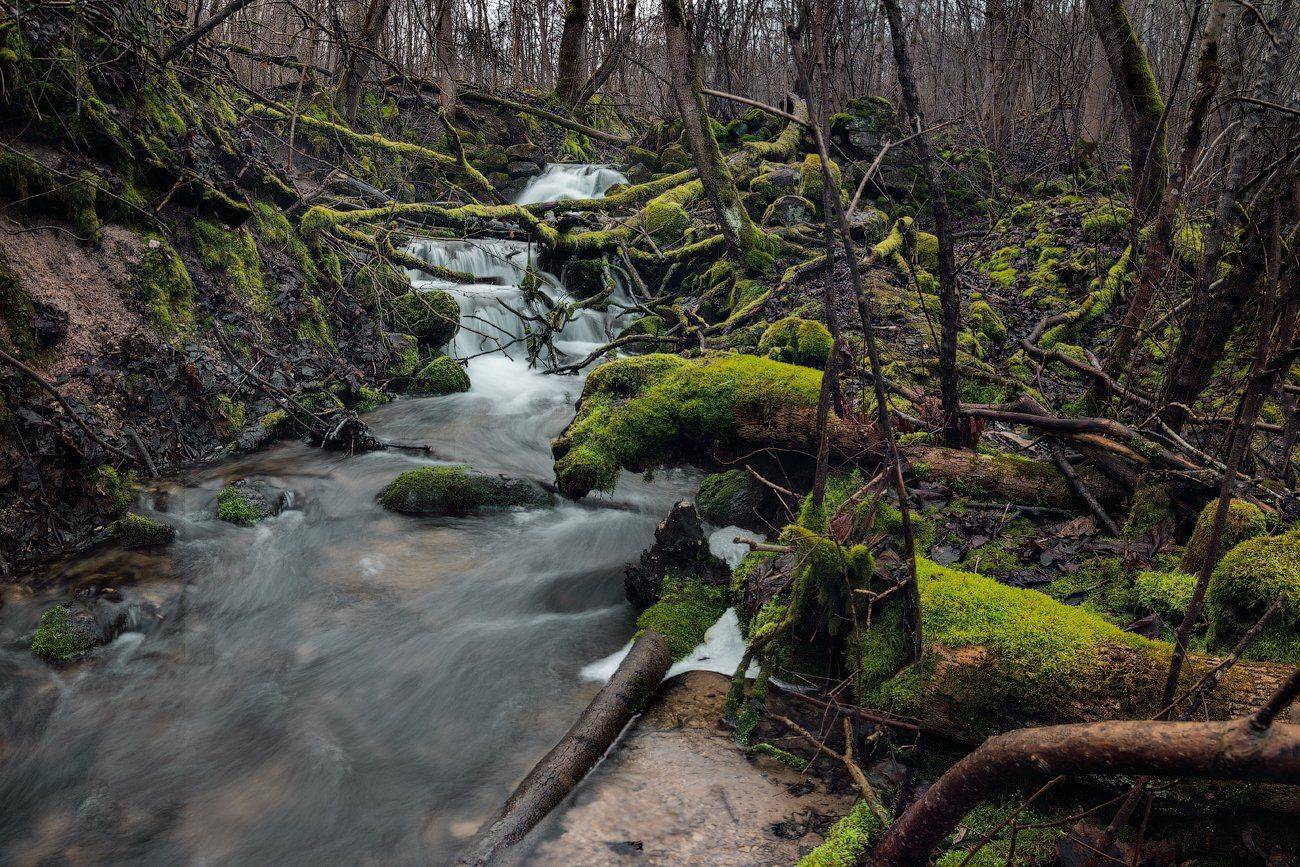 псков, ручей, водопад, ручей, лес, вода, поток, изборск, Майя Афзаал