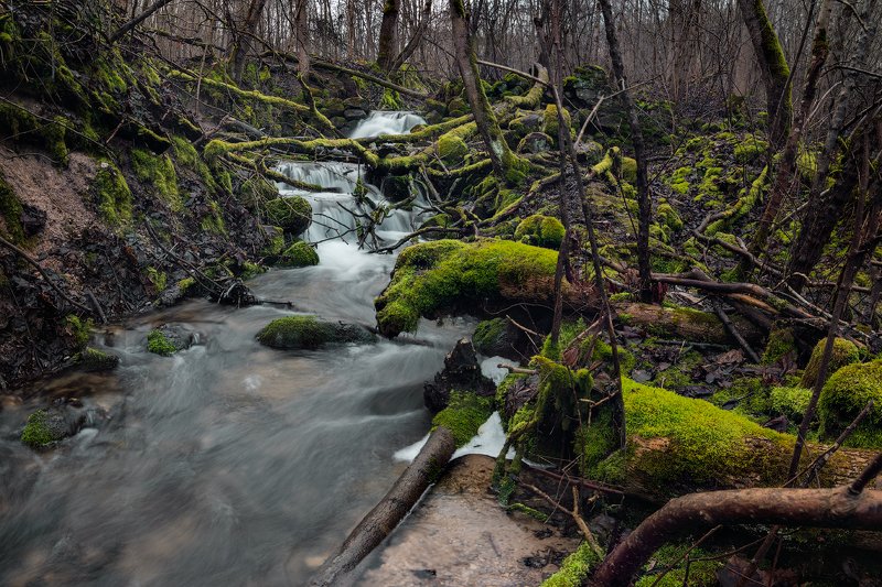 псков, ручей, водопад, ручей, лес, вода, поток, изборск Мельничий ручей. фото превью