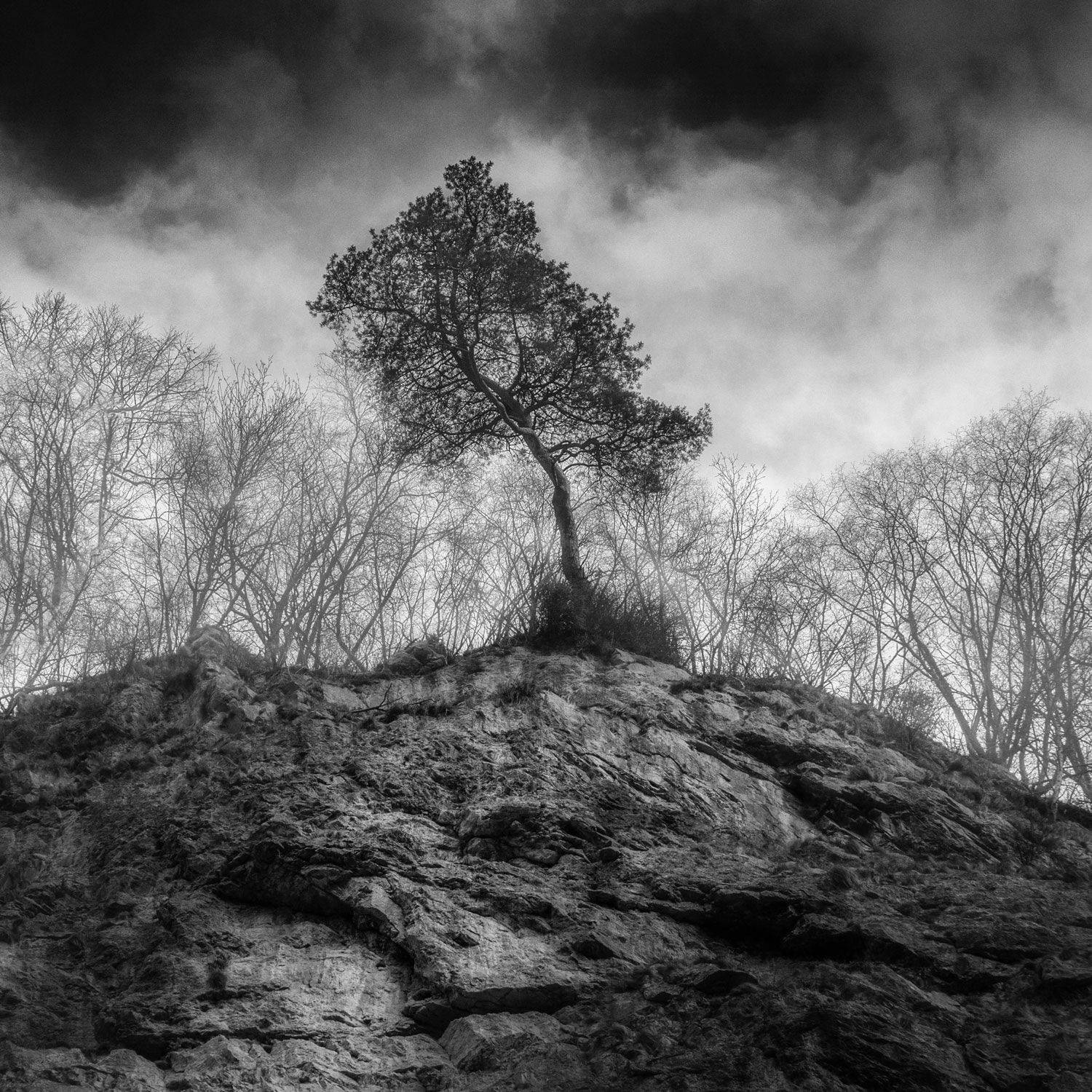 пейзаж, природа, чб, landscape, nature,, Алексей Сергованцев