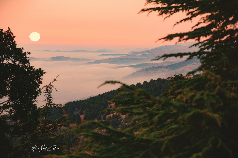 nature, landscape sun trees sunset orange Sunset in Lebanon фото превью