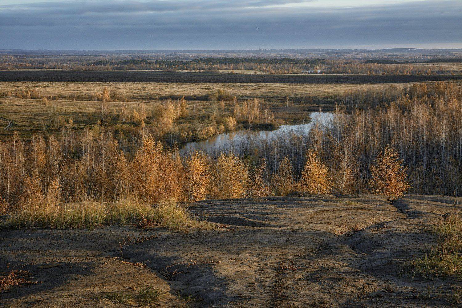, Анатолий Зверев