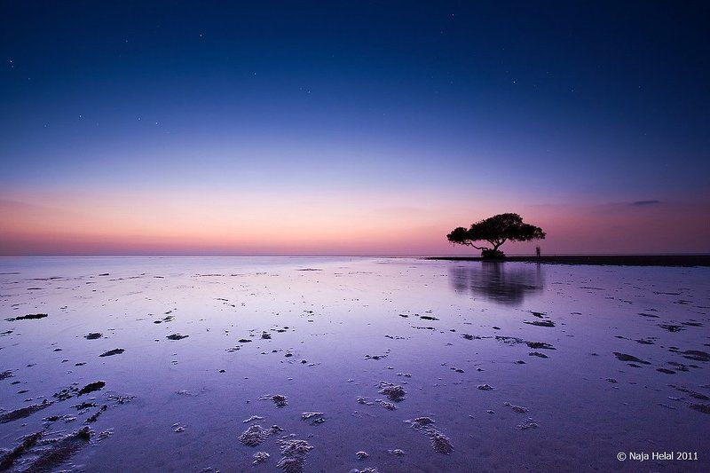 I\'m lonely фото превью