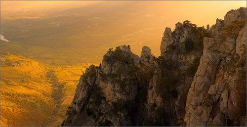 О ТОМ КАК ПТИЦЫ ВИДЯТ МИР.