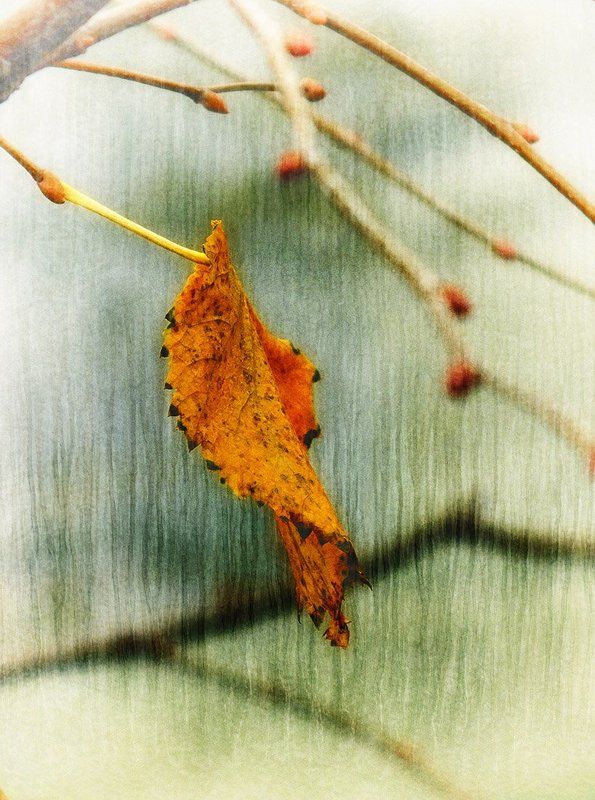 Last... фото превью