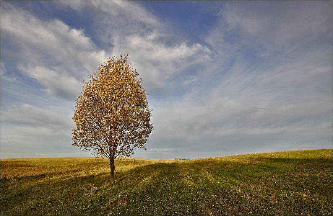 , Володимир Карчевський