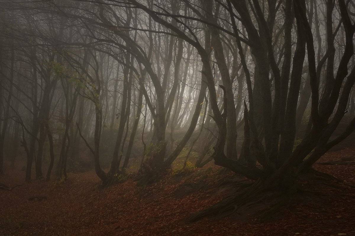 , Михаил  Пилипенко