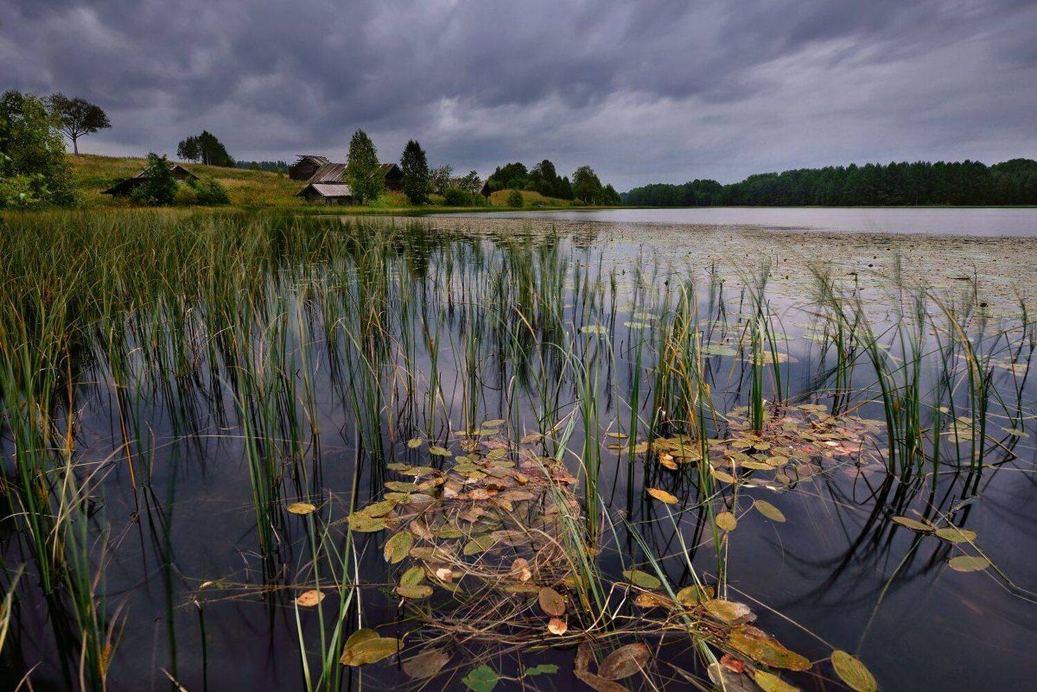 , Максим Евдокимов
