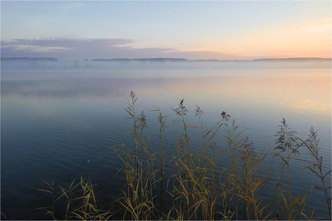 , Кутыгин Эдуард