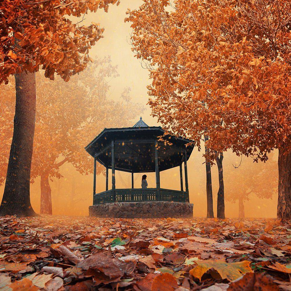 , Caras Ionut