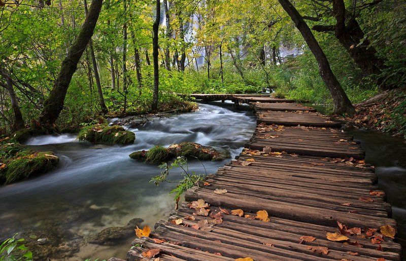 плитвицкие озера, хорватия  фото превью