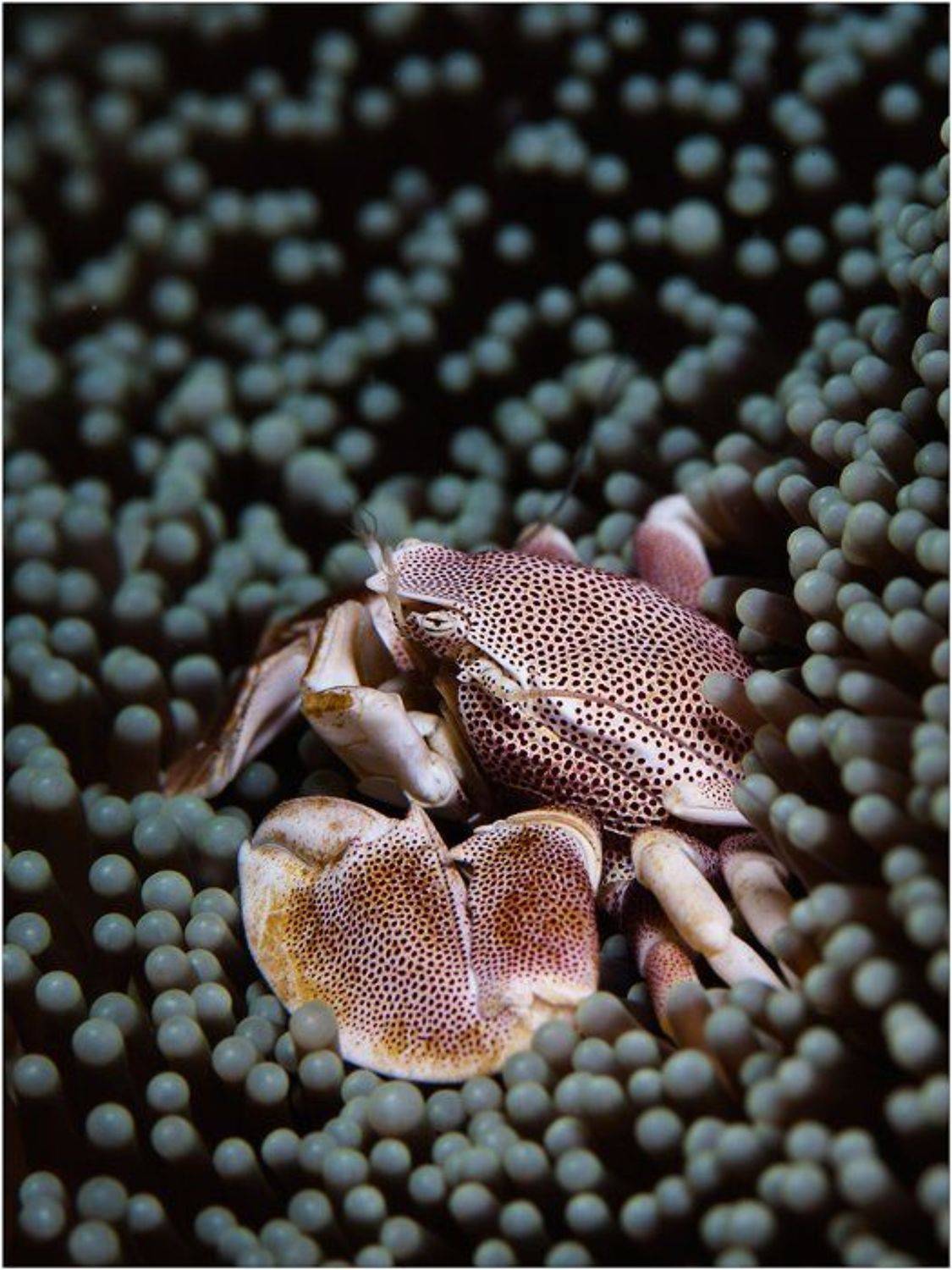 , Олег Федин