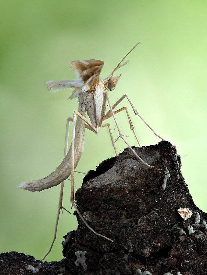 , Сергей Таланов