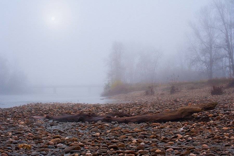 , Светлана Щемелева