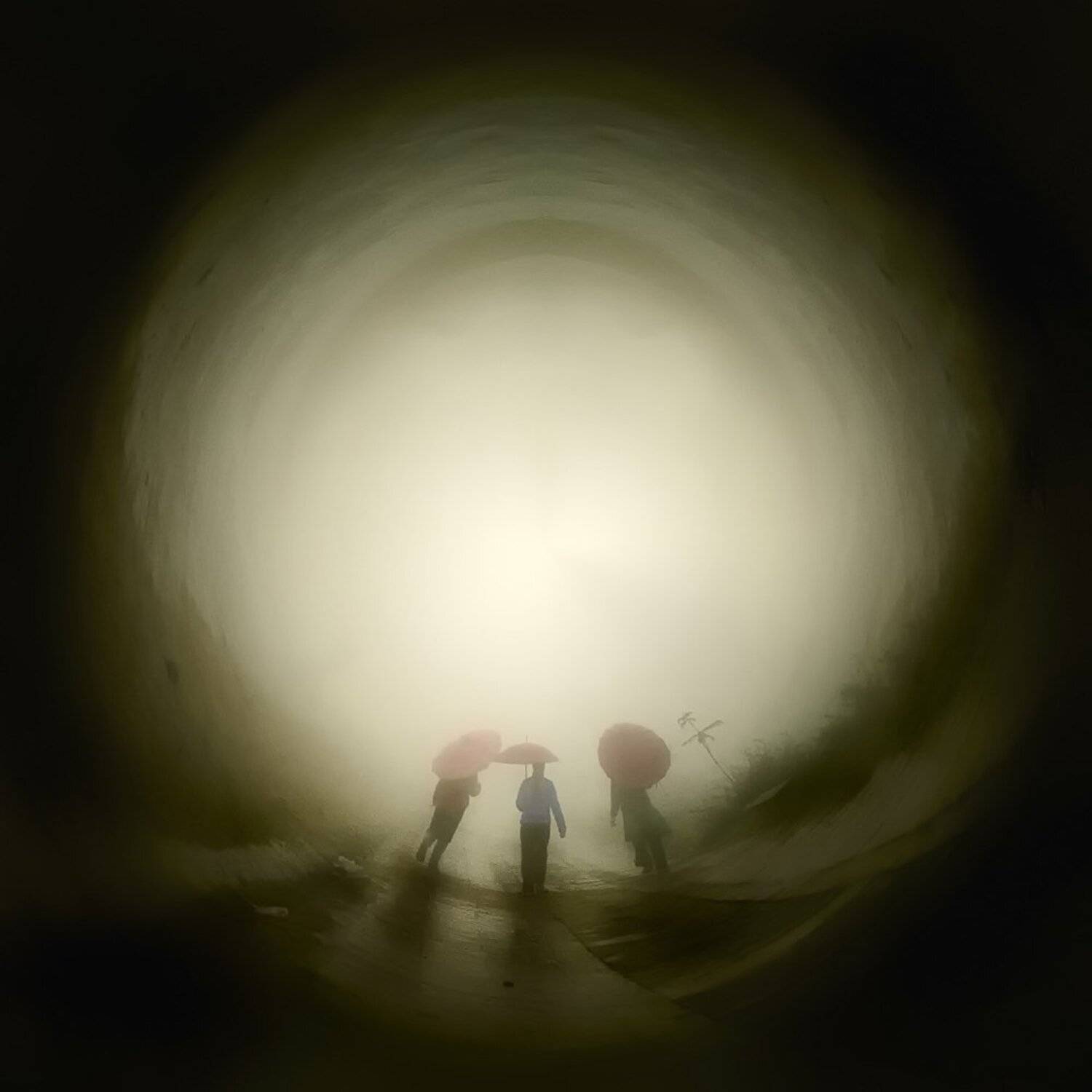 hai, вьетнам, Hai Trinh Xuan