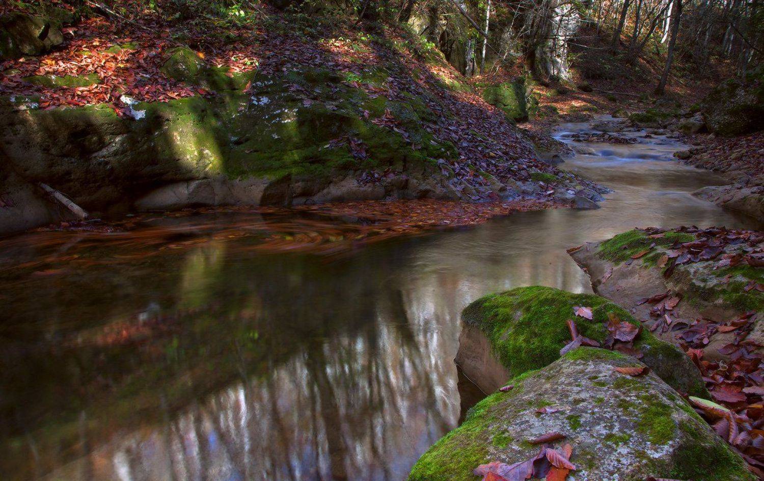 мезмай, Ирина Заграничная