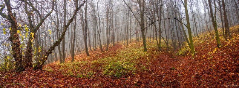 **** фото превью