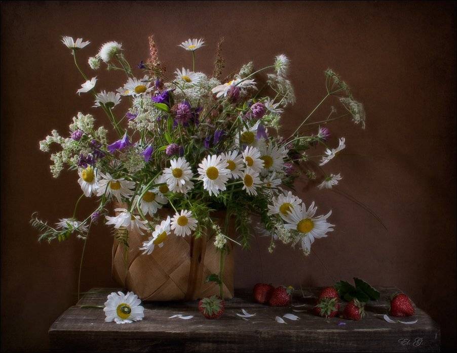 натюрморт, ромашки, цветы, корзина, ягоды, клубника, лето, daisy, flowers, still, life, fruit, basket, strawberries, summer, El. G.