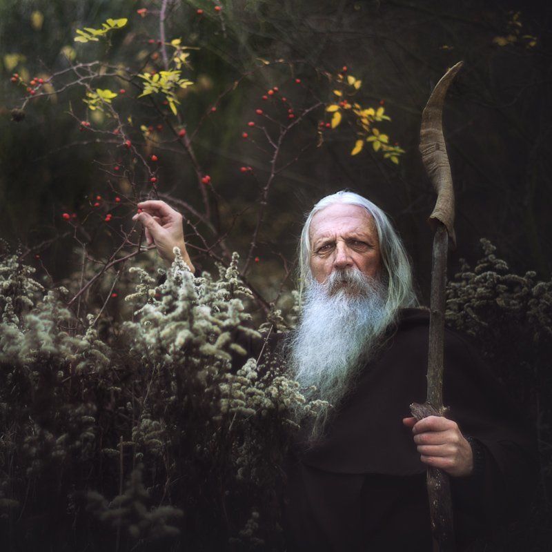 wolf, ulfr, man, portrait, color, stick, rosehip, hair, wild rose Ulfr - Enchanting Wild Rose фото превью