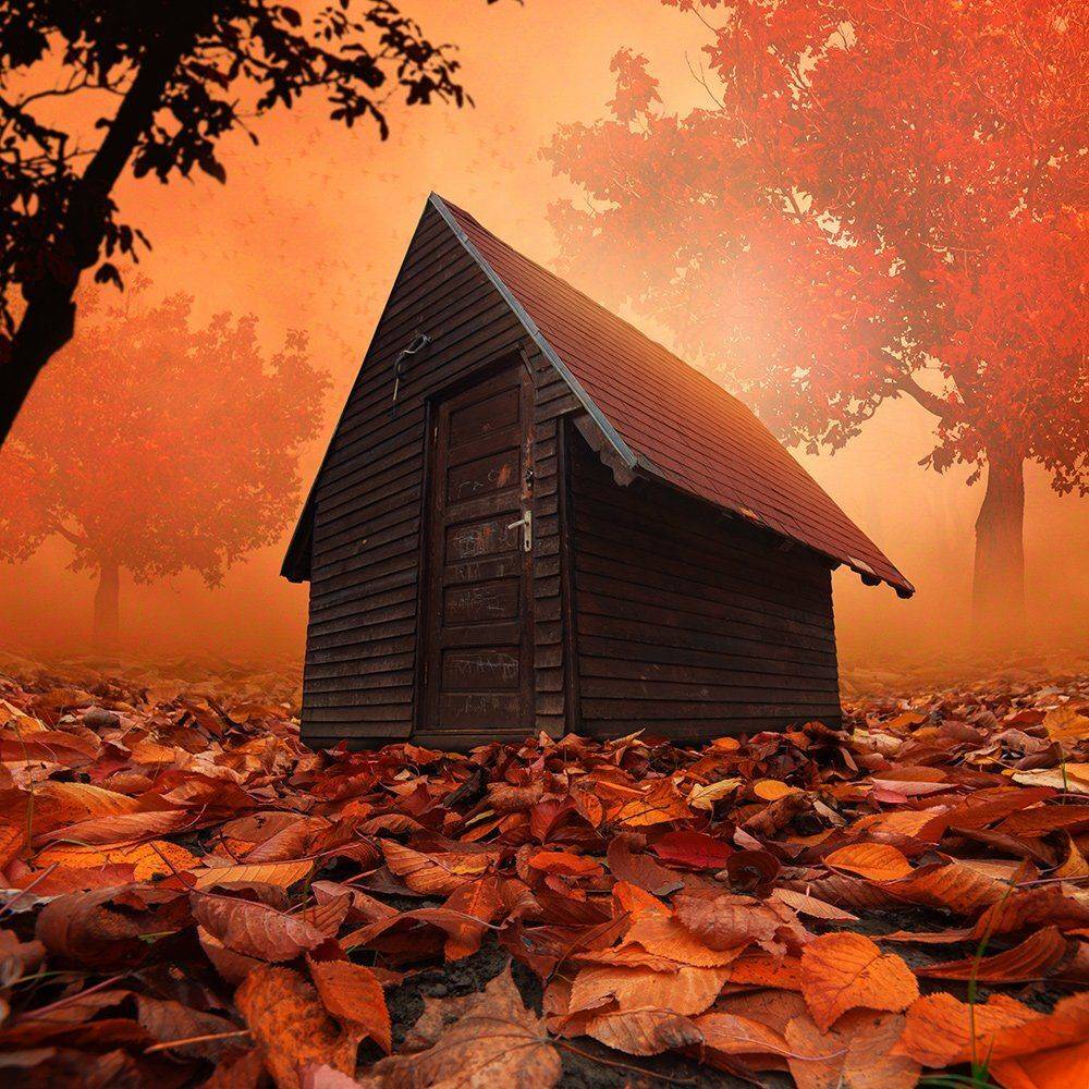 , Caras Ionut