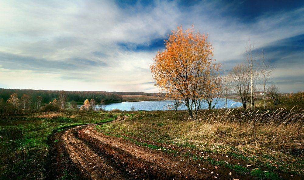 , Сергей Зимин