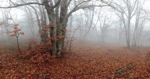 Ноябрь. Крым