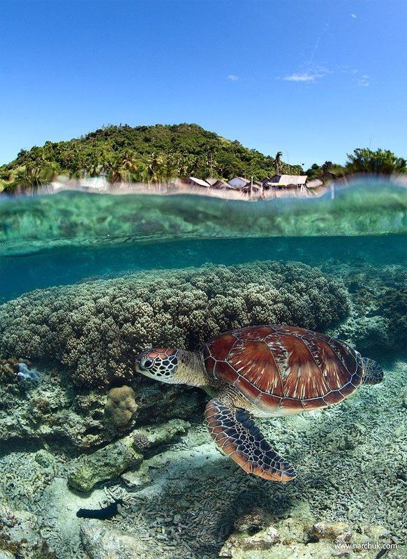 Вдоль берега вдвоем фото превью