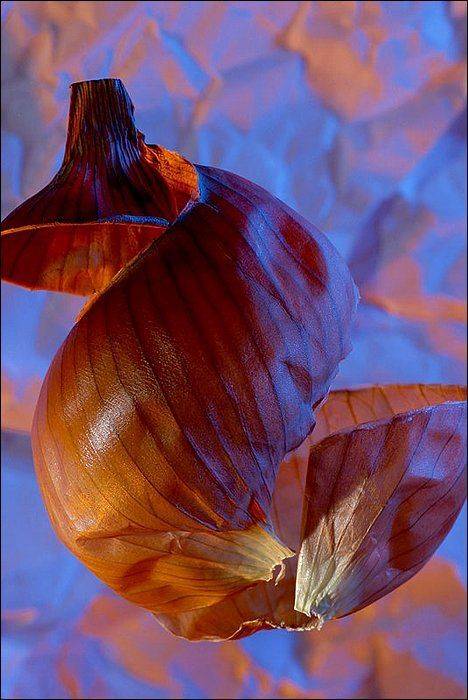 лук, шелуха, натюрморт, Victor Pechenev