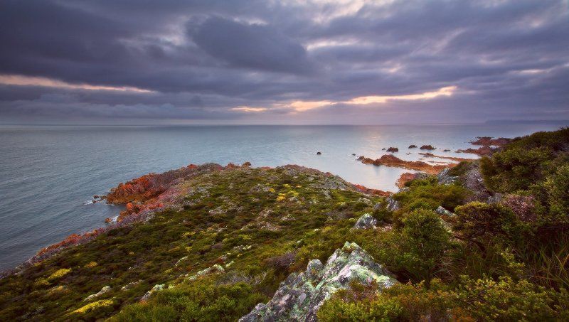 Rocky Cape фото превью