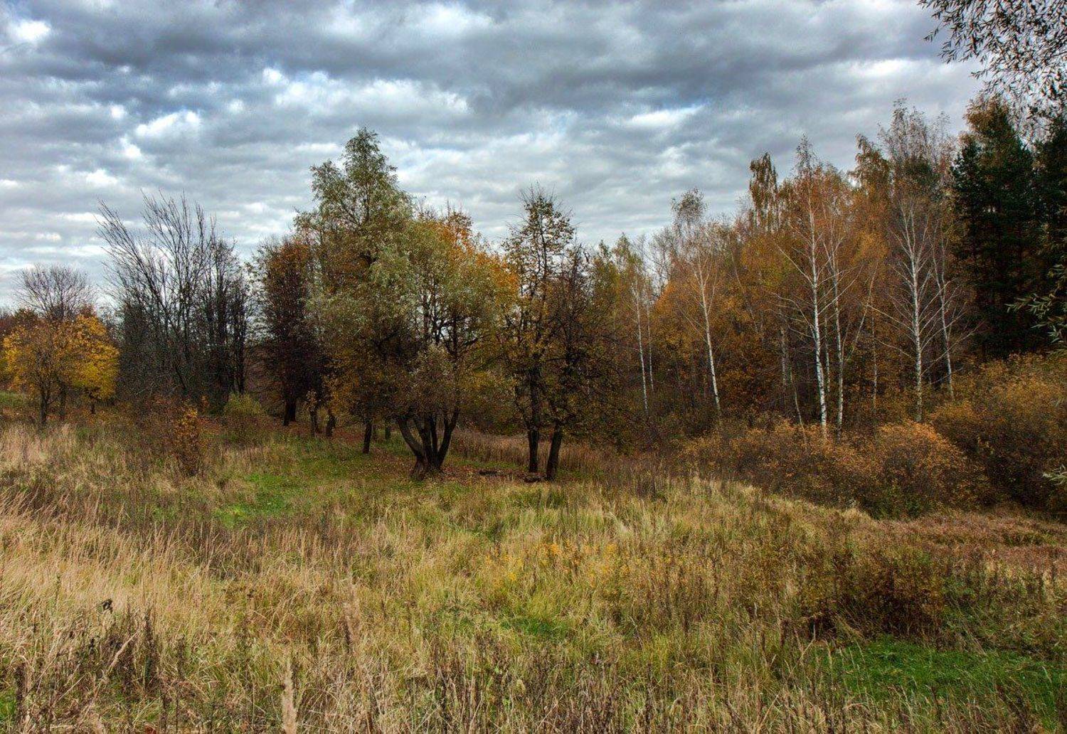 , Uncle_Vova (Владимир Веснин)